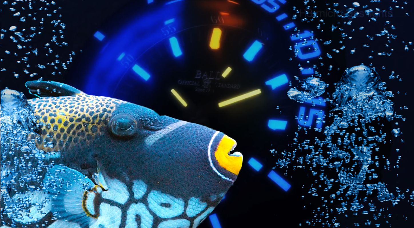 Ball Engineer Hydrocarbon DeepQuest 3000M Automatic Diver (Ref. DM3000A-SCJ-BK)