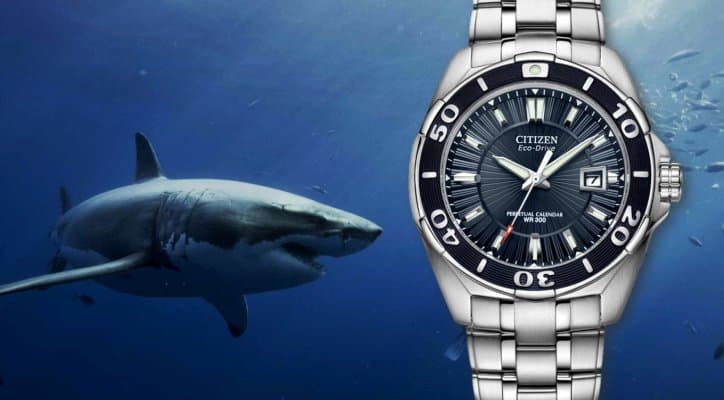 Citizen Eco-Drive Signature Perpetual Calendar (ref. BL1258-53L) 300m diving wrist watch