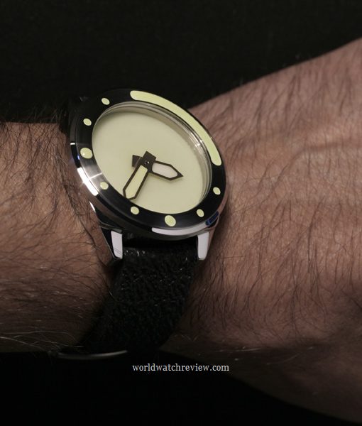 Angular Momentum Cushion Diver (wrist shot photo)