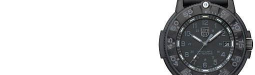 Luminox Original Navy SEALs 3000 Blackout (Ref. A.3001.BO)
